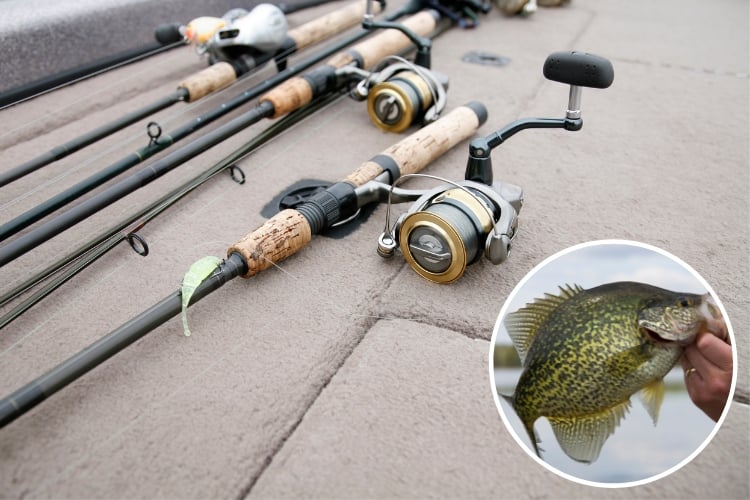 Jigging for Crappie - Equipment and Rod