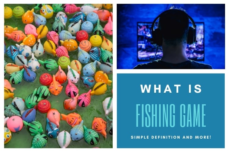 What is a Fishing Game